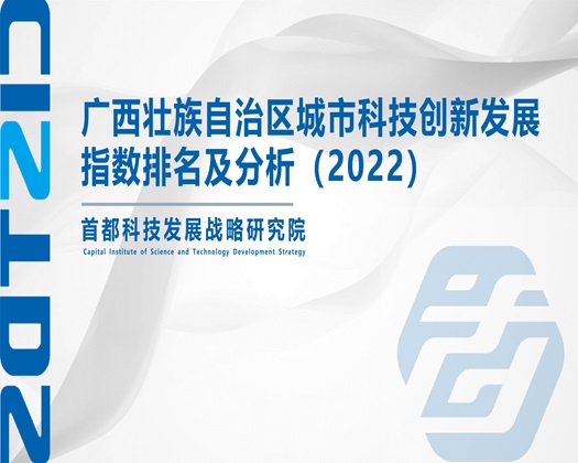 啊啊啊啊好想要摸下面网站在线观看免费外国【成果发布】广西壮族自治区城市科技创新发展指数排名及分析（2022）